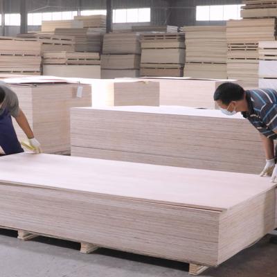 Kai Wah Altripan Uk Image 20