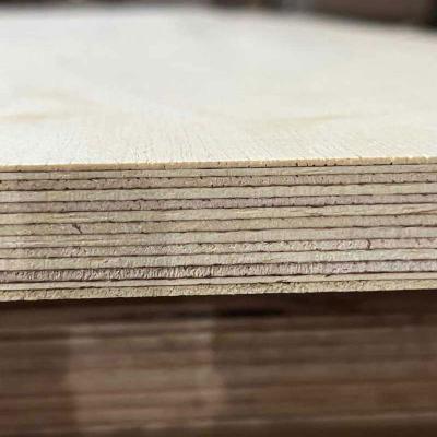 Kai Wah Altripan Uk Image 4